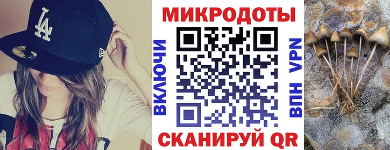 купить   Железногорск  Псилоцибиновые грибы GOLDEN TEACHER 